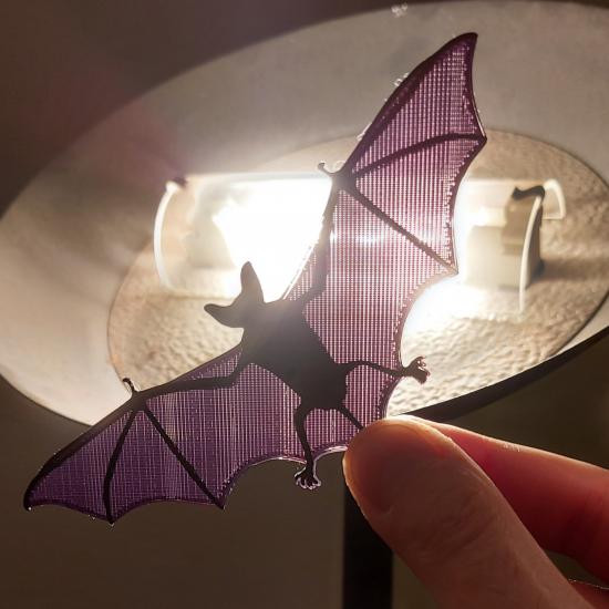 Chauve-souris