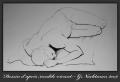 dessin 11