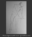 dessin 3
