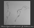 dessin 9