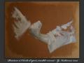 Peinture 3
